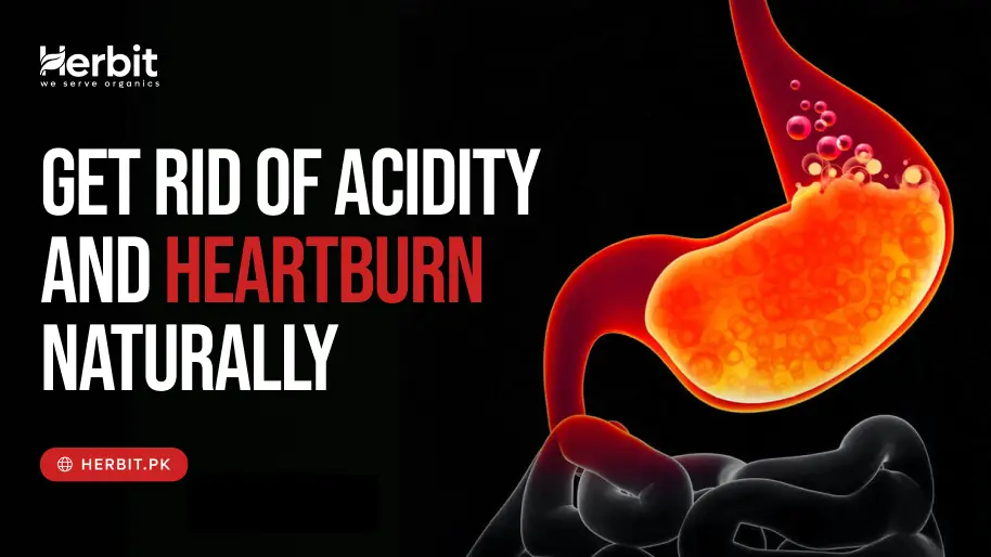 How to Get Rid of Acidity and Heartburn Naturally